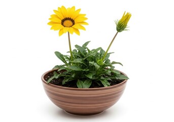 Camper trailer maintenance tools