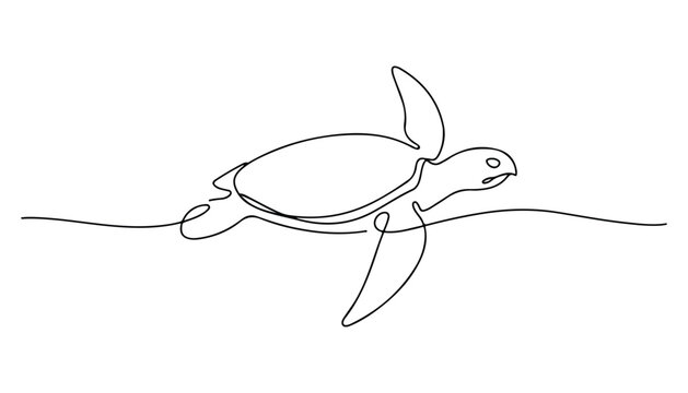 One continuous line illustration of an turtle , isolated on white background.