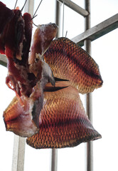 Close-up of dried fish hanging on the balcony to dry