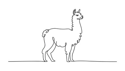 Fototapeta premium One continuous line illustration of an Llama, isolated on white background.
