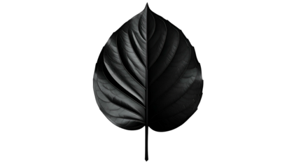 A dark, stylized leaf is split in half, half bright and half shadowed, against black