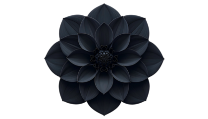 A digitally rendered, isolated black flower with many layered petals, on a dark background