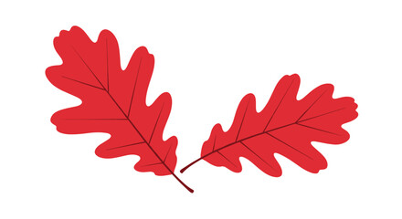 Obraz premium Simple illustration of two vibrant red oak leaves, symbolizing autumn, nature, and the changing seasons, on a white background.