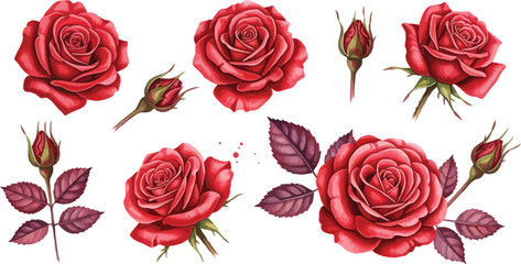 Seamless pattern of red roses creating a romantic floral design