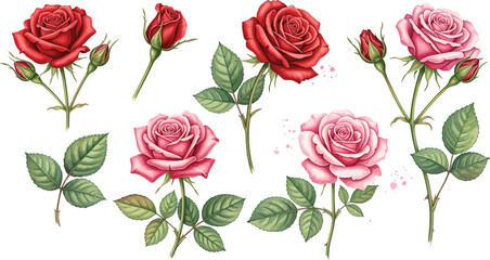 Seamless pattern of pink and red roses with delicate leaves on a clean background