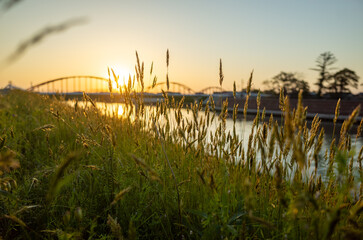 綺麗な夕焼けの川の風景