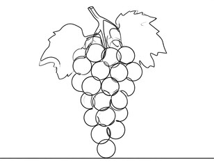Line drawing of a bunch of grapes with leaves