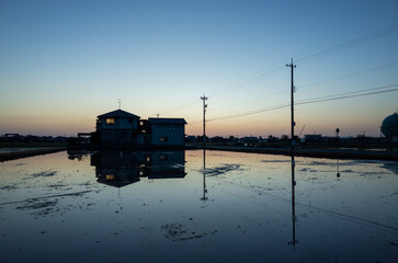 水田に反射する美しい風景