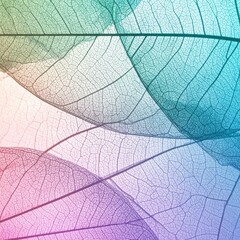 Close-up view of translucent, colorful leaf veins