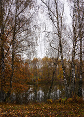 Fototapeta premium Autumn landscape with colorful trees reflected in water. Seasonal fall scenery with yellow and orange foliage by lake. Nature background for tranquil moment.