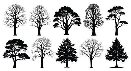 Fototapeta premium Collection of diverse tree silhouettes, showcasing various deciduous and evergreen species in black and white.