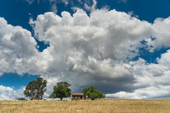 Long angled view of a small rundown farmhouse in a dry paddock under billowing storm clouds