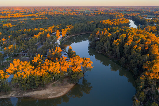 Aerial view of golden light on tree tops along an inland river