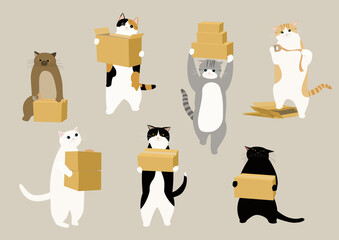 引越しを手伝う7匹の猫　ダンボール箱