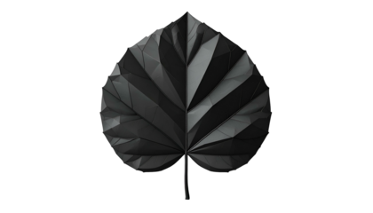 Geometric representation of a leaf, rendered in shades of gray, against a black background