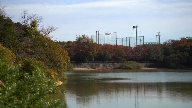 Local Japanese Public Parks: The Obu Futatsuike Park