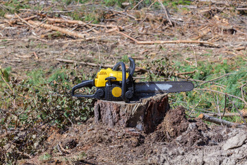 chainsaw on a stump in a logging area