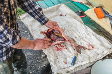 Man is cutting open a fish on a table