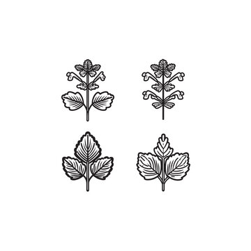 Henbit icon line art nature element