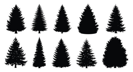 Fototapeta premium A collection of dark evergreen trees and shrubs presented in a striking black silhouette