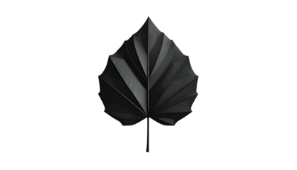 A stylized dark gray leaf with prominent veins, set against a solid black background