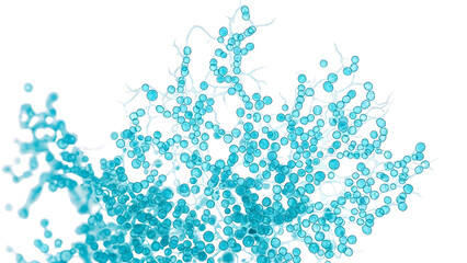 Microscopic View of Blue Fungal Hyphae and Spores on a White Background