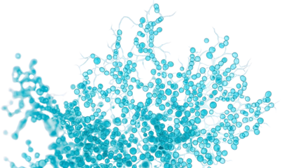 Microscopic View of Blue Fungal Hyphae and Spores on a White Background