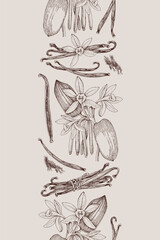 Obraz premium Vanilla hand drawn seamless border