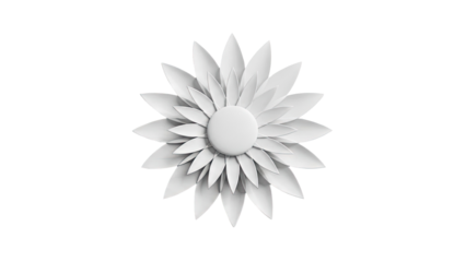 White Flower Isolated on White Background