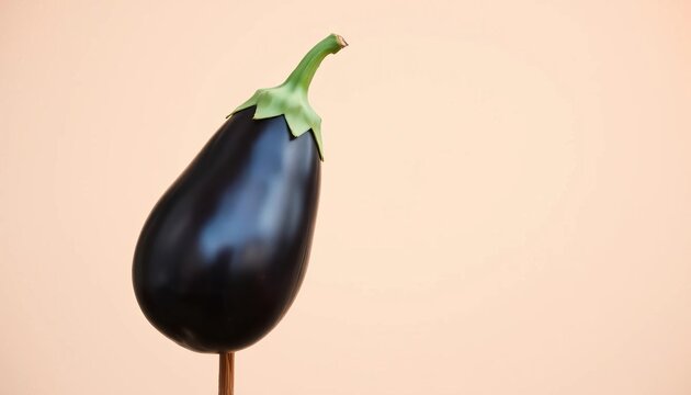 Dark purple eggplant standing upright, smooth skin, slight stem,  still life,  isolated - Powered by Adobe
