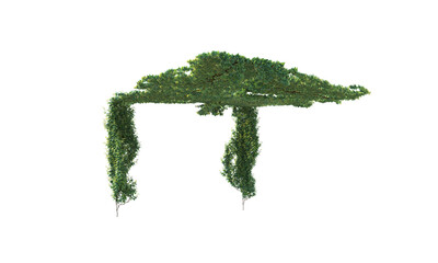Only ivy for a trellis without a trellis png alpha channel