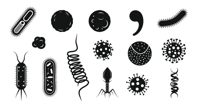 A collection of various black microbial forms and shapes depicted in a striking silhouette