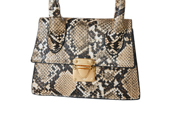 Snake skin female handbag isolated on white background.