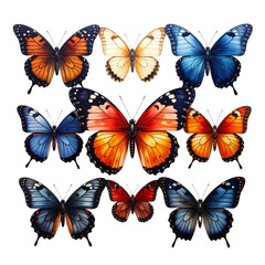 Obraz premium thoughtful Set of colorful vector butterfly illustrations featuring beautiful monarch and morpho wings for summer nature design