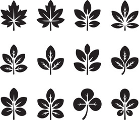 Obraz premium Collection of various leaf shapes and designs in black silhouette