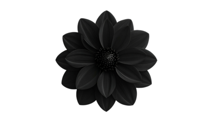 A grayscale image showcases a layered flower with dark petals and a prominent center, isolated