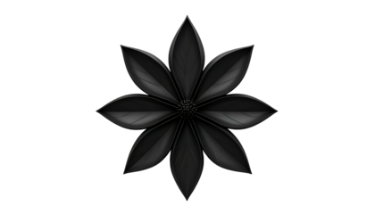 A symmetrical, stylized, black flower with multiple textured petals against a black backdrop