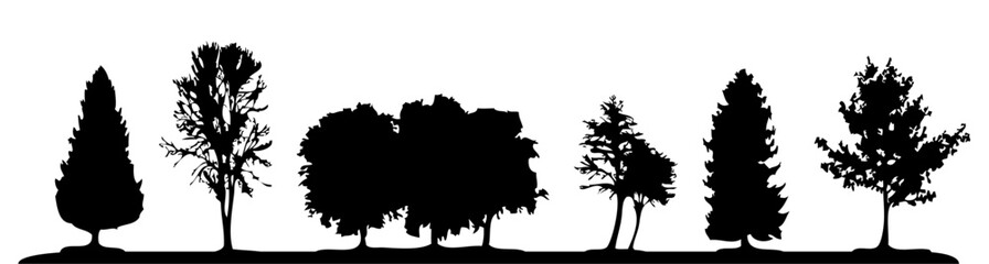 natural forest tree silhouette © afiatun