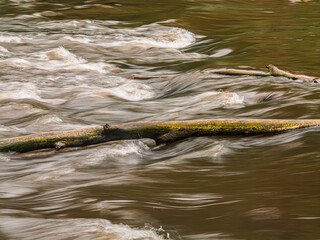 Colorful Logs In The Fast Water