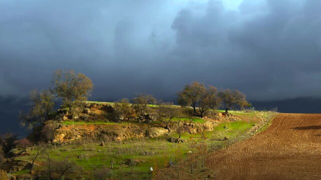 Golden Sunlight Over Distant Farmland, Dramatic Rural Landscape With Racing Clouds And Bending Grasses . Action