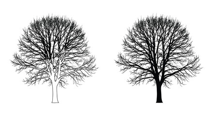 Detailed depiction of two bare trees in black and white showcasing a striking silhouette © Pvect02
