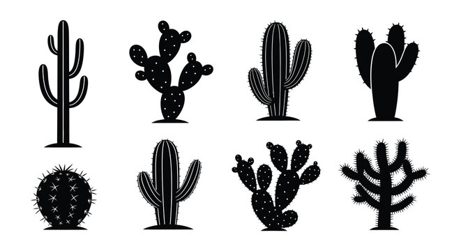 Stylized black silhouettes of various desert cacti and succulents