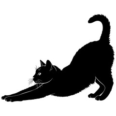 Black cat in stretching pose © Khalid
