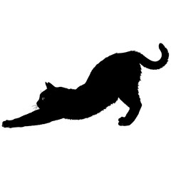 Silhouette of a black cat stretching