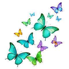 Fototapeta premium Seamless nature pattern illustration featuring pink butterflies and floral summer flowers on white and blue backgrounds with decorative spring leaf art and vector insect silhouettes for wallpaper desi