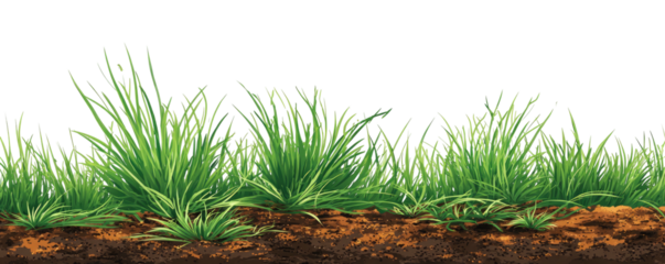 A realistic depiction of grass growing from the earth against a black background