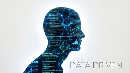 Data Driven Artificial Intelligence Concept with Digital Brain