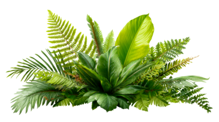 Lush tropical foliage arrangement with varied green fern and broad leaves creating a dense jungle composition perfect for nature inspired themes and lush outdoor scenes