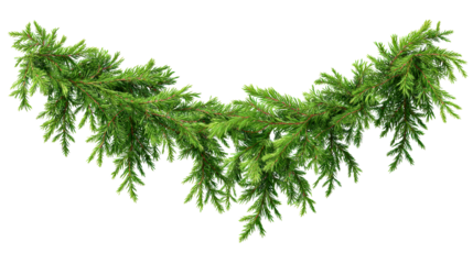 Green fir branches garland for festive winter holiday decoration and Christmas celebration banners and borders applications