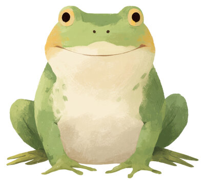 Cute green frog sitting and looking forward in cartoon style isolated on transparent background.